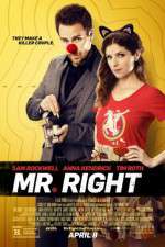 Watch Mr. Right Primewire