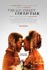Watch If Beale Street Could Talk Primewire