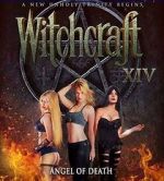 Watch Witchcraft 14: Angel of Death Primewire