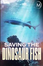 Watch Saving the Dinosaur Fish Primewire