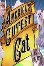 Watch America's Cutest Cat Primewire