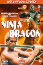 Watch Ninja Dragon Primewire
