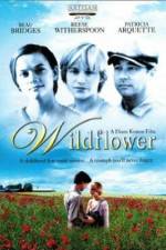 Watch Wildflower Primewire