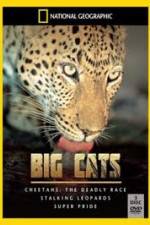 Watch National Geographic: Living With Big Cats Primewire
