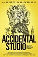 Watch An Accidental Studio Primewire