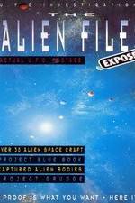 Watch UFO Investigations The Alien File Primewire