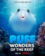 Watch Puff: Wonders of the Reef Primewire
