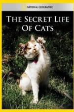 Watch National Geographic The Secret Life of Cats Primewire