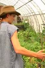 Watch Green House Seeds Strain Hunters India Expedition Primewire