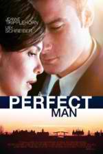 Watch A Perfect Man Primewire