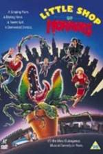Watch Little Shop of Horrors Primewire