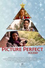Watch A Picture Perfect Holiday Primewire