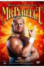 Watch The Life and Times of Mr Perfect Primewire