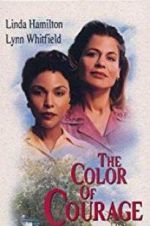 Watch The Color of Courage Primewire