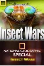 Watch National Geographic Insect Wars Primewire