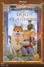 Watch The Dog of Flanders Primewire