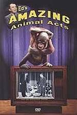 Watch Ed's Amazing Animal Acts Primewire