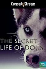 Watch Secret Life of Dogs Primewire