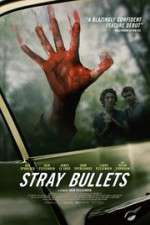 Watch Stray Bullets Primewire