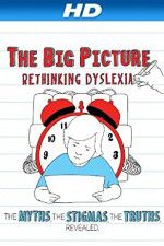 Watch The Big Picture Rethinking Dyslexia Primewire