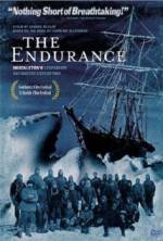 Watch The Endurance Primewire