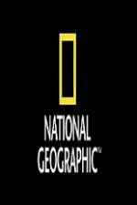 Watch National Geographic Wild Animal Attacks On Vacation Primewire