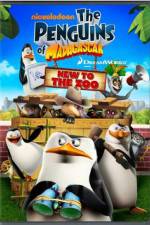 Watch Penguins of Madagascar New to the Zoo Primewire