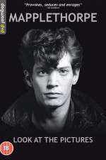Watch Mapplethorpe: Look at the Pictures Primewire
