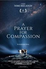 Watch A Prayer for Compassion Primewire