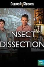 Watch Insect Dissection: How Insects Work Primewire
