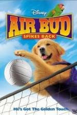 Watch Air Bud Spikes Back Primewire