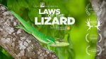 Watch Laws of the Lizard Primewire