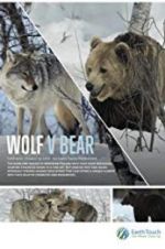 Watch Wolf vs Bear Primewire