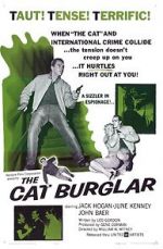 Watch The Cat Burglar Primewire