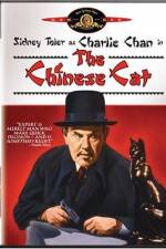 Watch Charlie Chan in The Chinese Cat Primewire