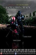 Watch Deadpool and the Black Panther Primewire