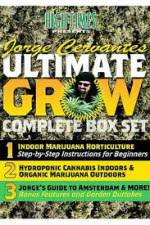 Watch Jorge Cervantes Ultimate Grow Complete Box Set Primewire