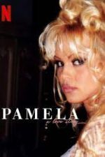 Watch Pamela, a Love Story Primewire