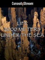Watch Life 2,000 Meters Under the Sea Primewire