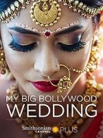 Watch My Big Bollywood Wedding Primewire
