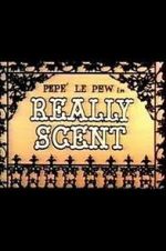 Watch Really Scent (Short 1959) Primewire