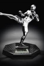 Watch World MMA Awards 2010 Primewire
