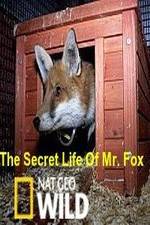 Watch The Secret Life of Mr. Fox Primewire