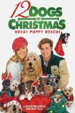 Watch 12 Dogs of Christmas Great Puppy Rescue Primewire