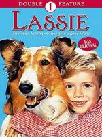 Watch Lassie: A New Beginning Primewire