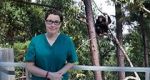 Watch Sue Perkins and the Chimp Sanctuary Primewire