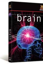 Watch The Brain Primewire