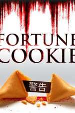 Watch Fortune Cookie Primewire