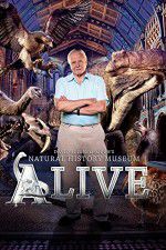 Watch David Attenborough\'s Natural History Museum Alive Primewire