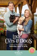 Watch Like Cats and Dogs Primewire